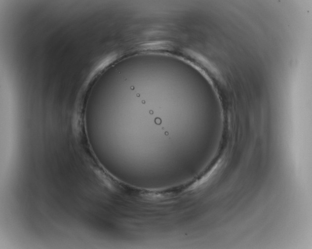 X0000115561405200911131617