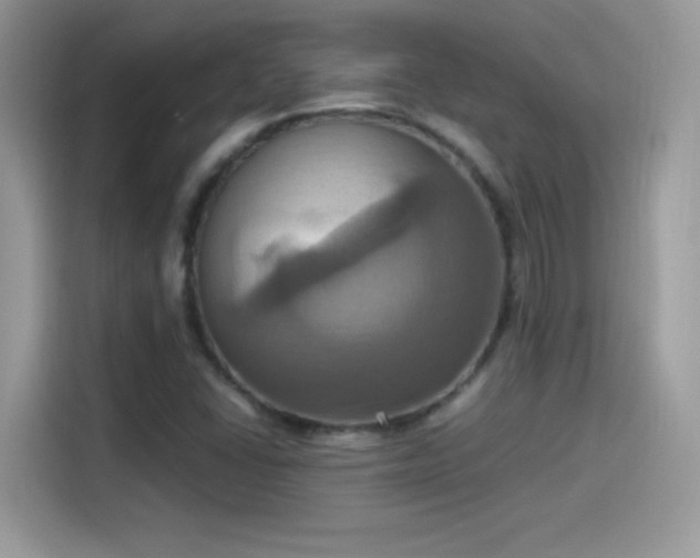 X0000115561406200911131617