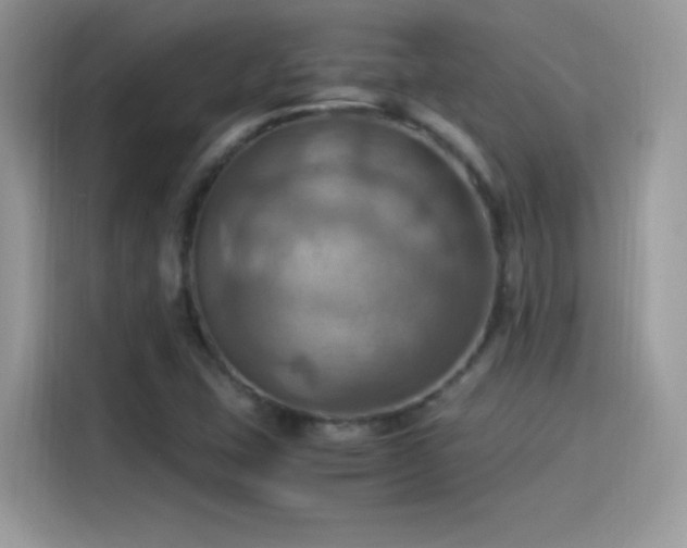 X0000115561407200911131617