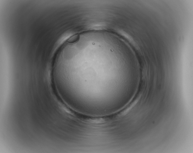 X0000115561410200911131617