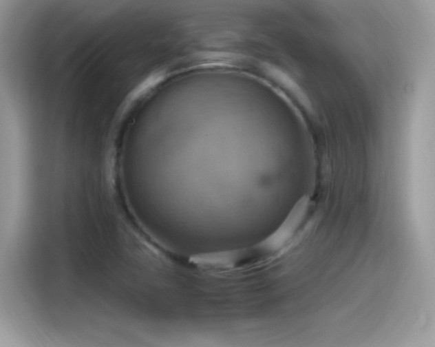 X0000115561411200911131617