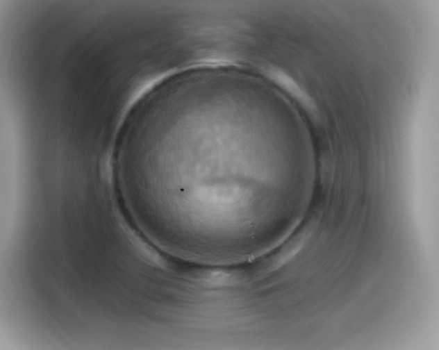 X0000115561412200911131617