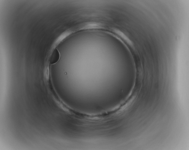 X0000115561413200911131617