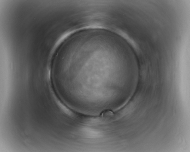 X0000115561416200911131617