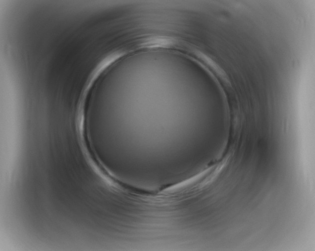 X0000115561418200911131617