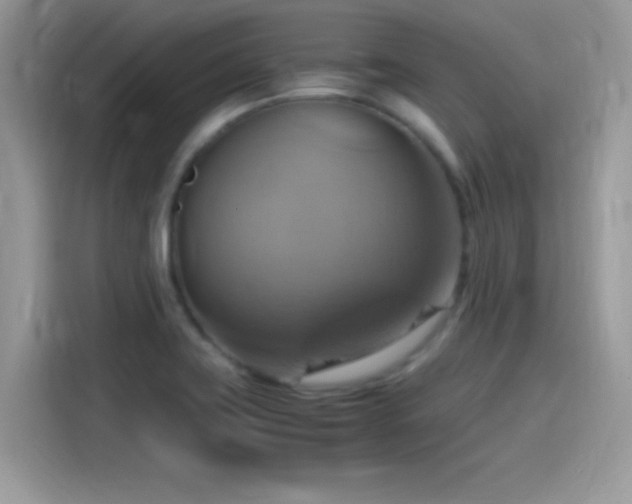 X0000115561419200911131617