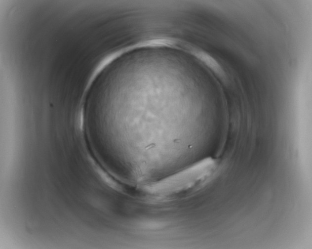 X0000115561420200911131617