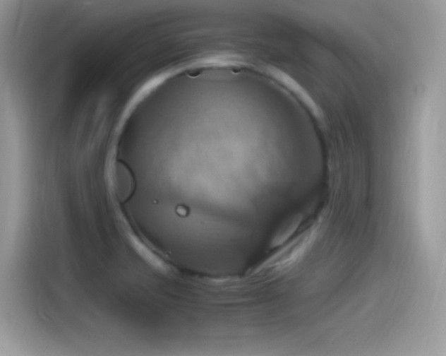 X0000115561421200911131617