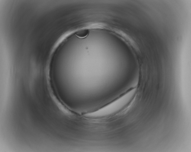 X0000115561422200911131617