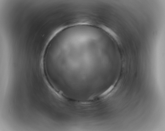 X0000115561423200911131617