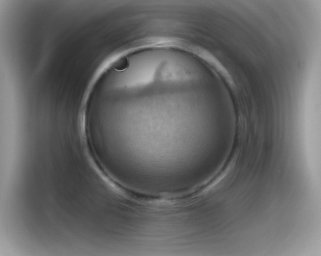 X0000115561424200911131617