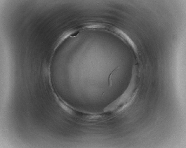 X0000115561425200911131617