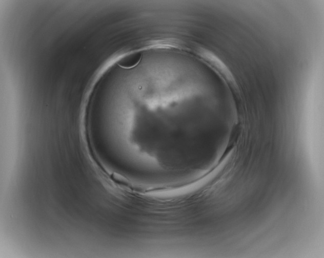 X0000115561427200911131617