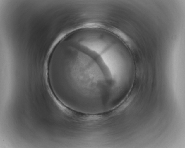 X0000115561430200911131617