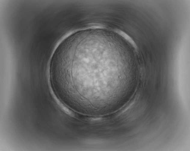 X0000115561431200911131617