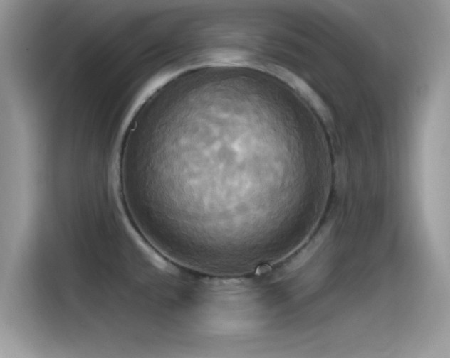 X0000115561432200911131617