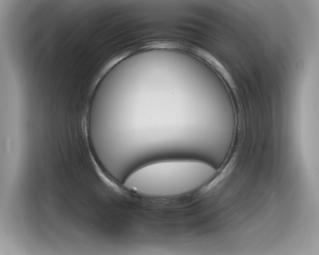 X0000115561433200911131617
