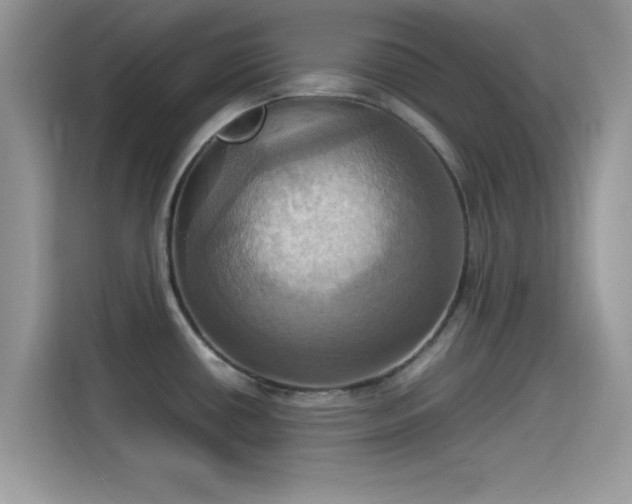 X0000115561434200911131617