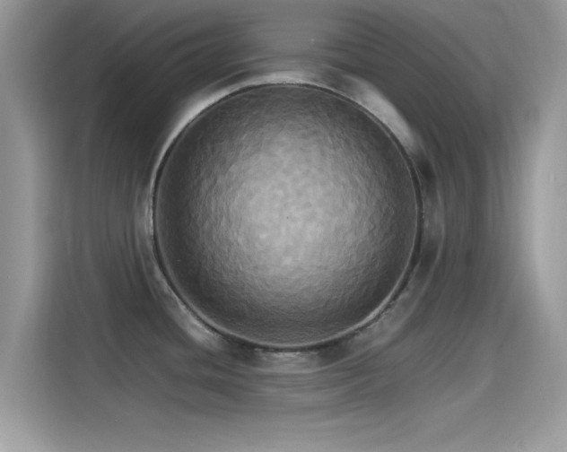 X0000115561436200911131617