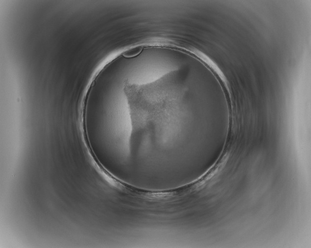 X0000115561437200911131617
