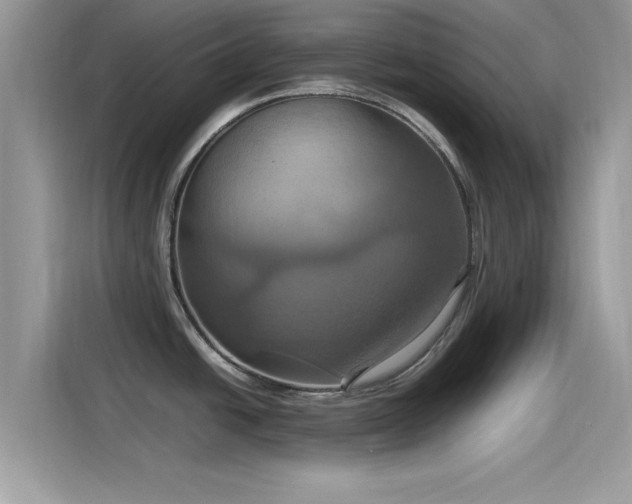 X0000115561438200911131617