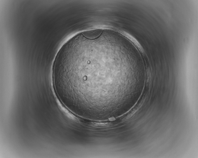 X0000115561439200911131617