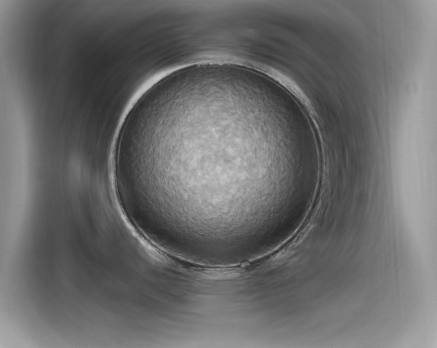 X0000115561440200911131617
