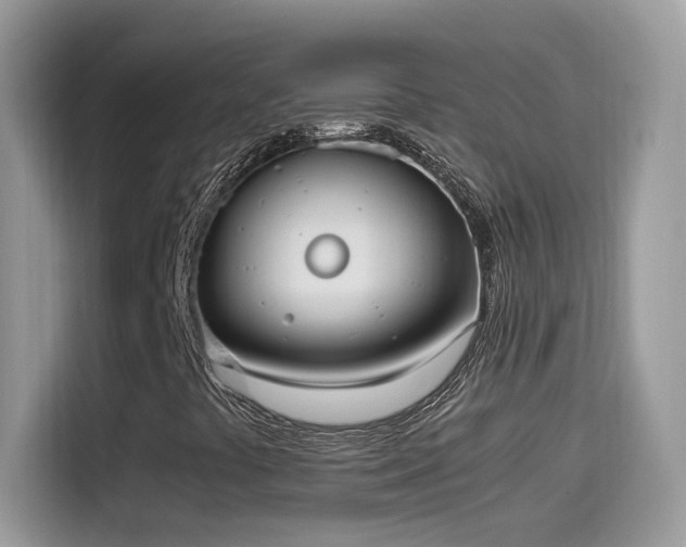 X0000115561441200911131617