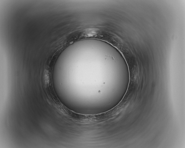 X0000115561442200911131617