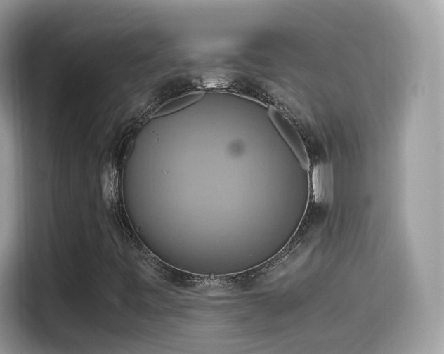 X0000115561443200911131617
