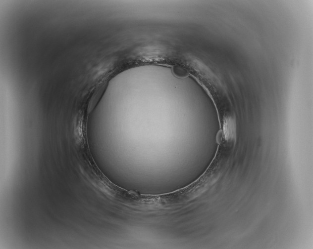 X0000115561444200911131617