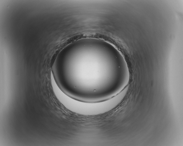X0000115561445200911131617