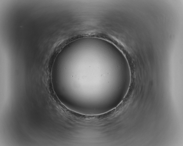 X0000115561447200911131617