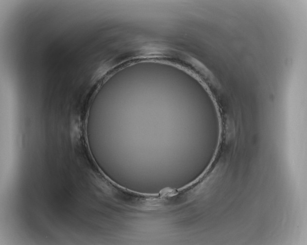 X0000115561449200911131616