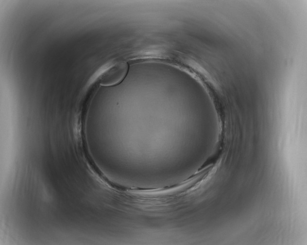 X0000115561450200911131616
