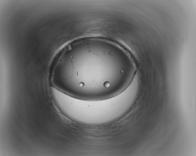 X0000115561452200911131616