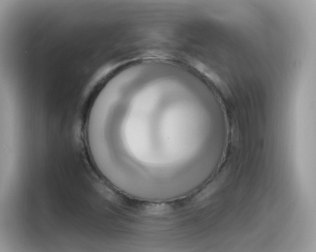 X0000115561454200911131616