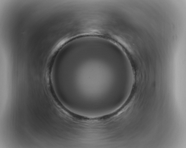 X0000115561455200911131616