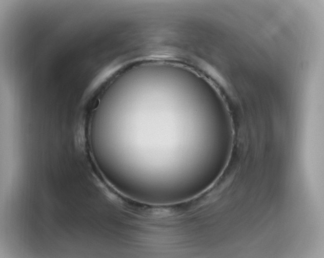 X0000115561456200911131616