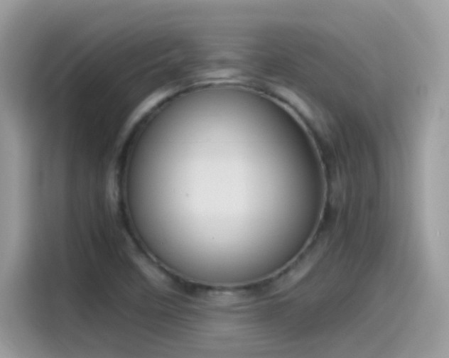 X0000115561458200911131616