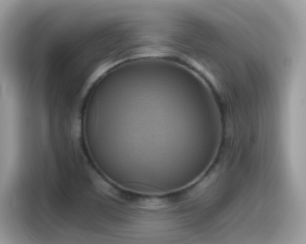 X0000115561459200911131616