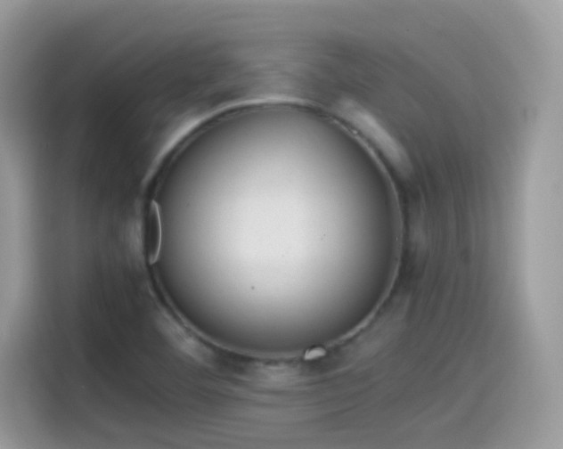 X0000115561460200911131616