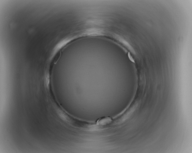 X0000115561461200911131616
