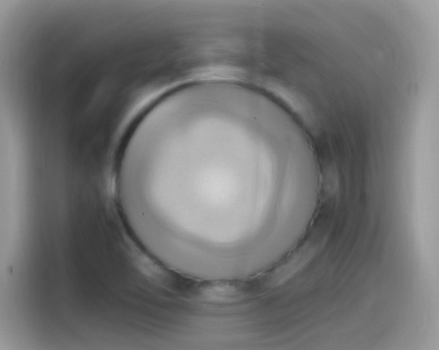 X0000115561462200911131616