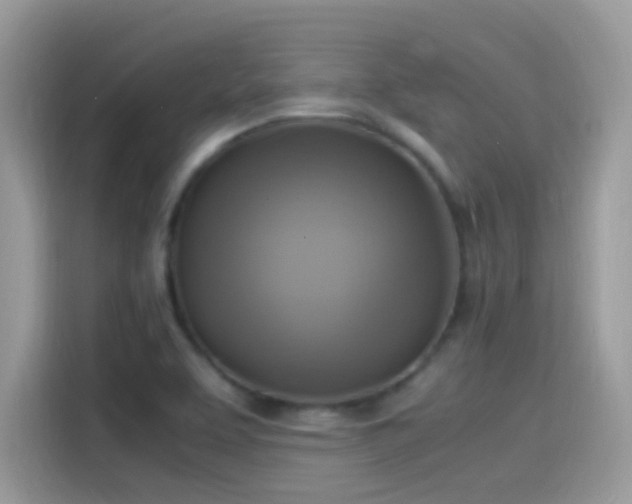 X0000115561463200911131616