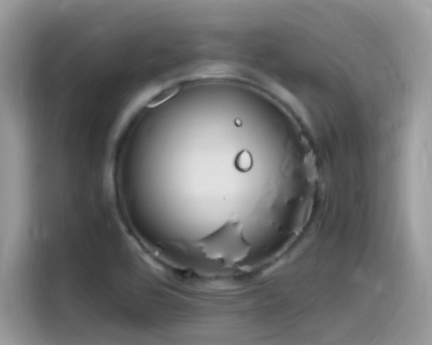 X0000115561464200911131616