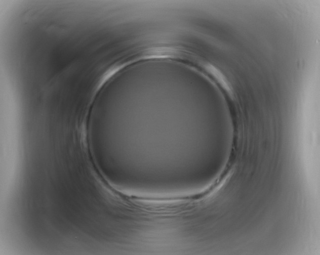 X0000115561465200911131616