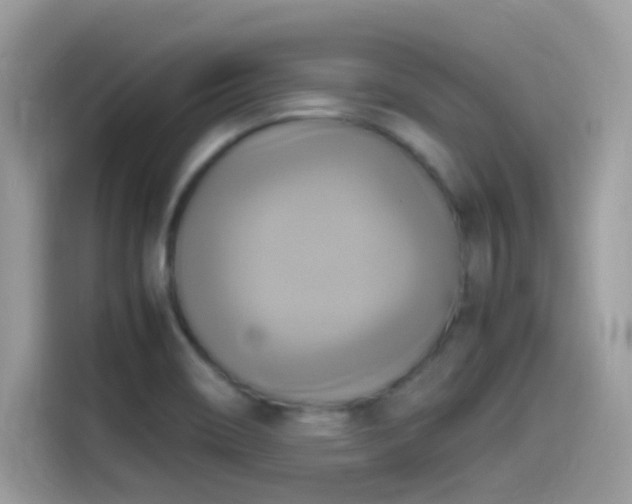 X0000115561466200911131616