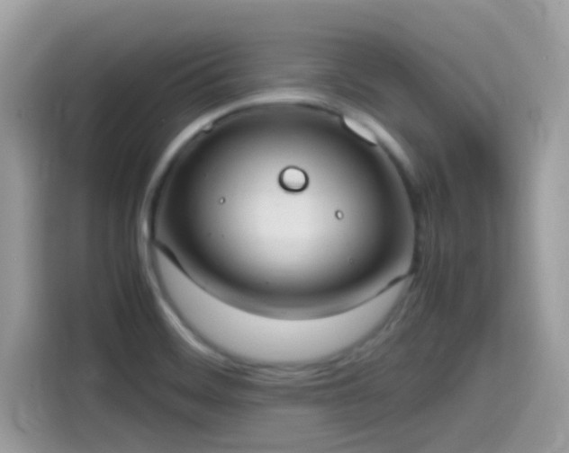 X0000115561468200911131616