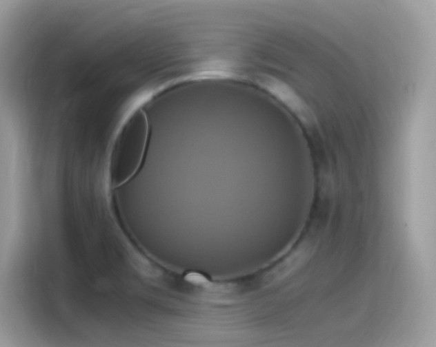 X0000115561469200911131616